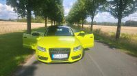 Audi A5 sportback 3.0 TDI Dortmund - Wambel Vorschau