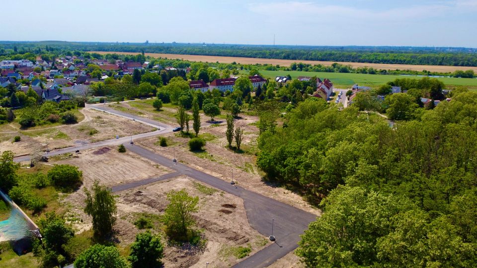 Die wohl schönsten Grundstücke in Biederitz in Biederitz