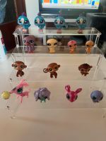 Littlest Pet Shop Vögel, Affen und Co Sachsen - Markranstädt Vorschau