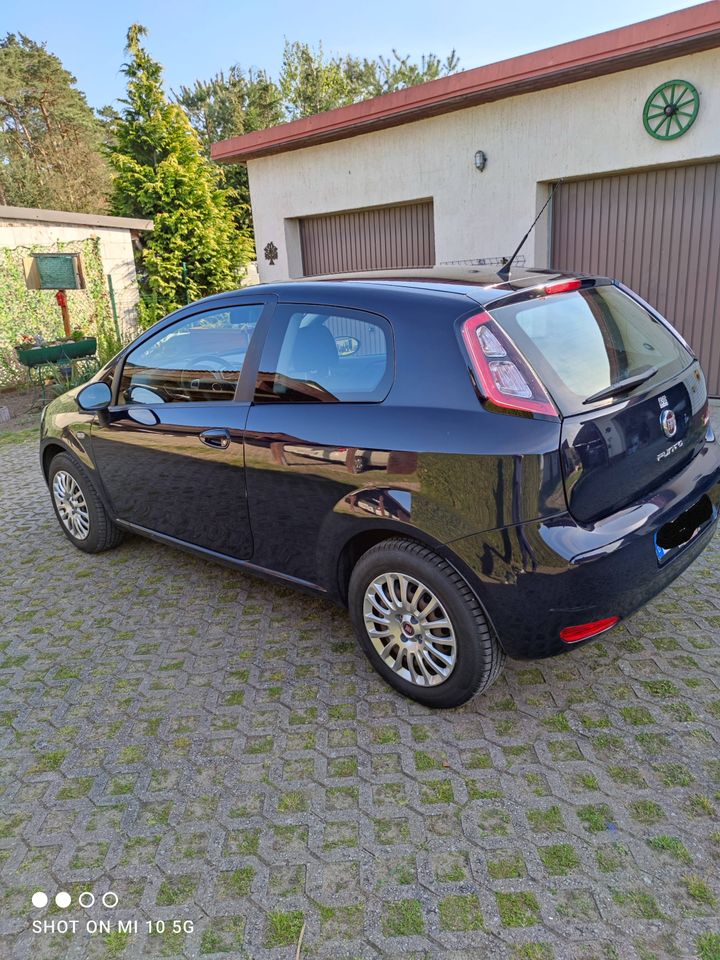 Fiat Punto Pop 1.2 8V Bj.2014, TÜV Neu, Service Neu in Templin