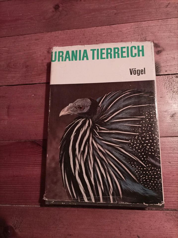 Bücher für Vögelliebhaber in Greiz