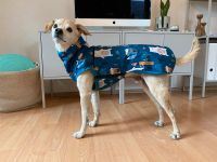 Hundepullover Mantel softshell RL 38 kl.-mittlere hunde dogitout Frankfurt am Main - Sachsenhausen Vorschau