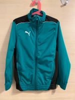 Puma Trainingsjacke 128 grün schwarz Niedersachsen - Nienhagen Vorschau