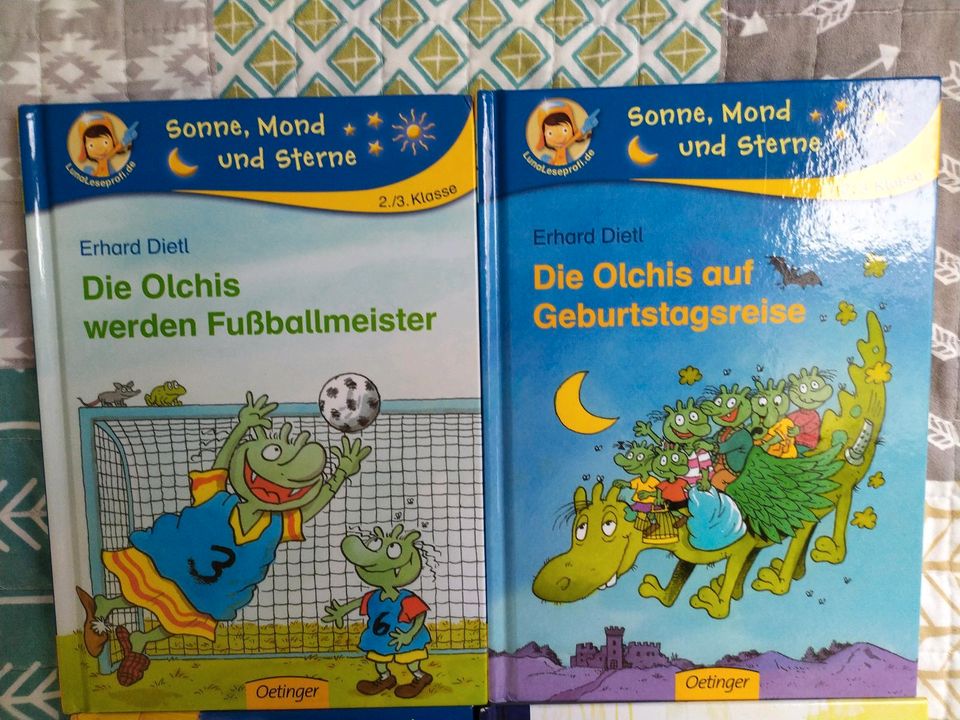 Lesegeschichten Erstklässler Zweite Klasse Buch Kind in Marbach am Neckar