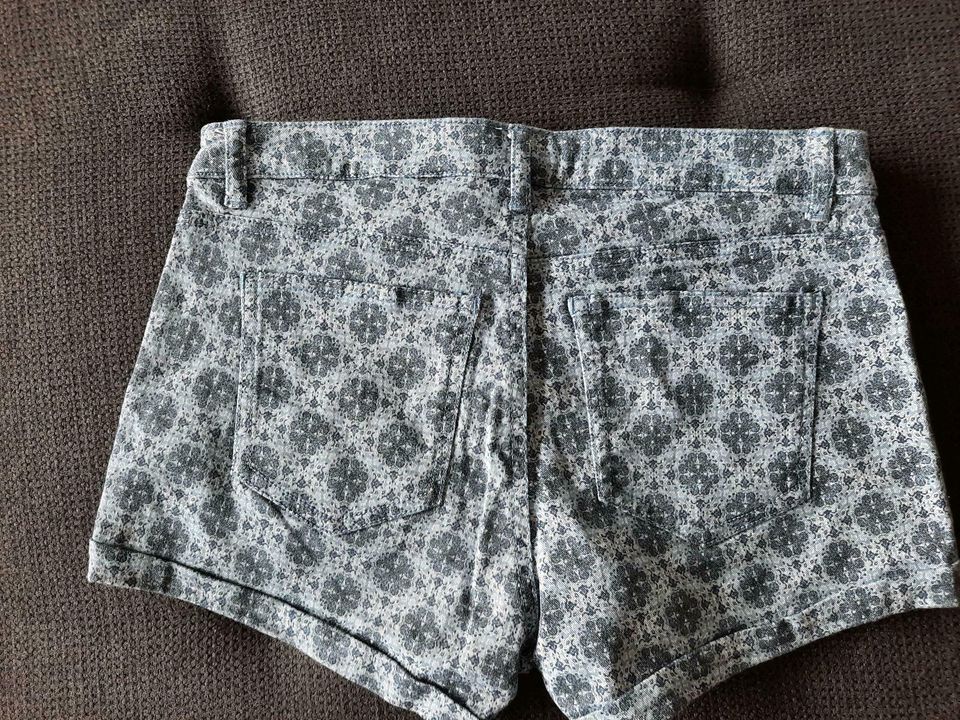 schicke Shorts in Schlangen