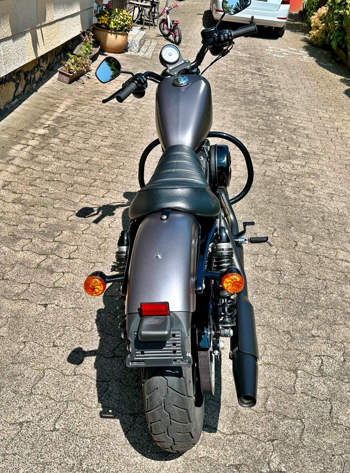 Harley-Davidson Iron 883 (Sportster XL/Bj. 2017) in Geroldsgrün