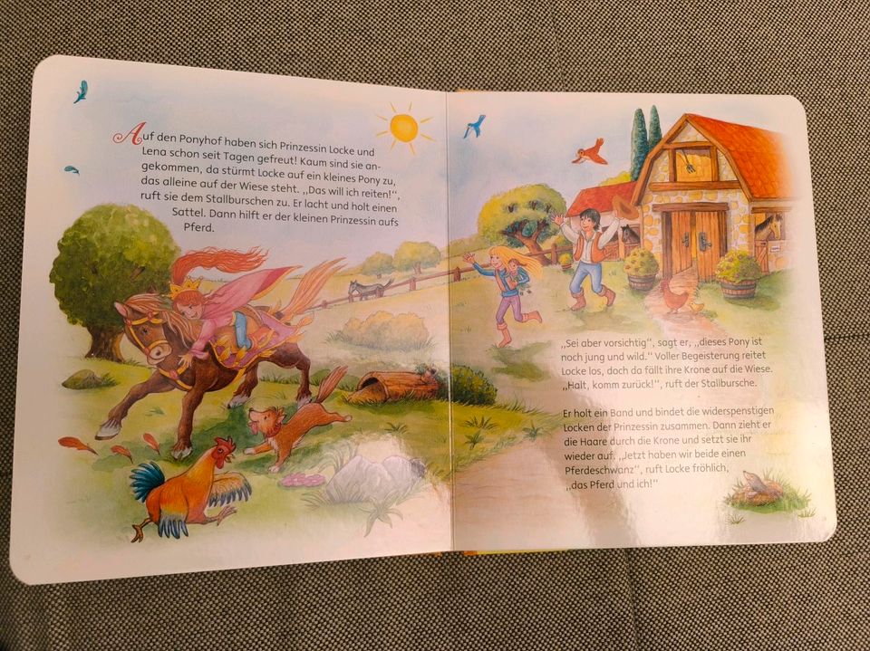 Pappbilderbuch* Die kleine Prinzessin * Kinderbuch in Lehrte