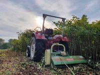 Mulchen Wiese mähen - Traktor - Schlegelmulcher Nordrhein-Westfalen - Oberhausen Vorschau