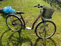 Canoga Herrenrad, Damenrad, Fahrrad, Bike, Rad, 28 Zoll Berlin - Neukölln Vorschau