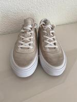 Damen Schuhe Converse Gr.37 Baden-Württemberg - Nürtingen Vorschau