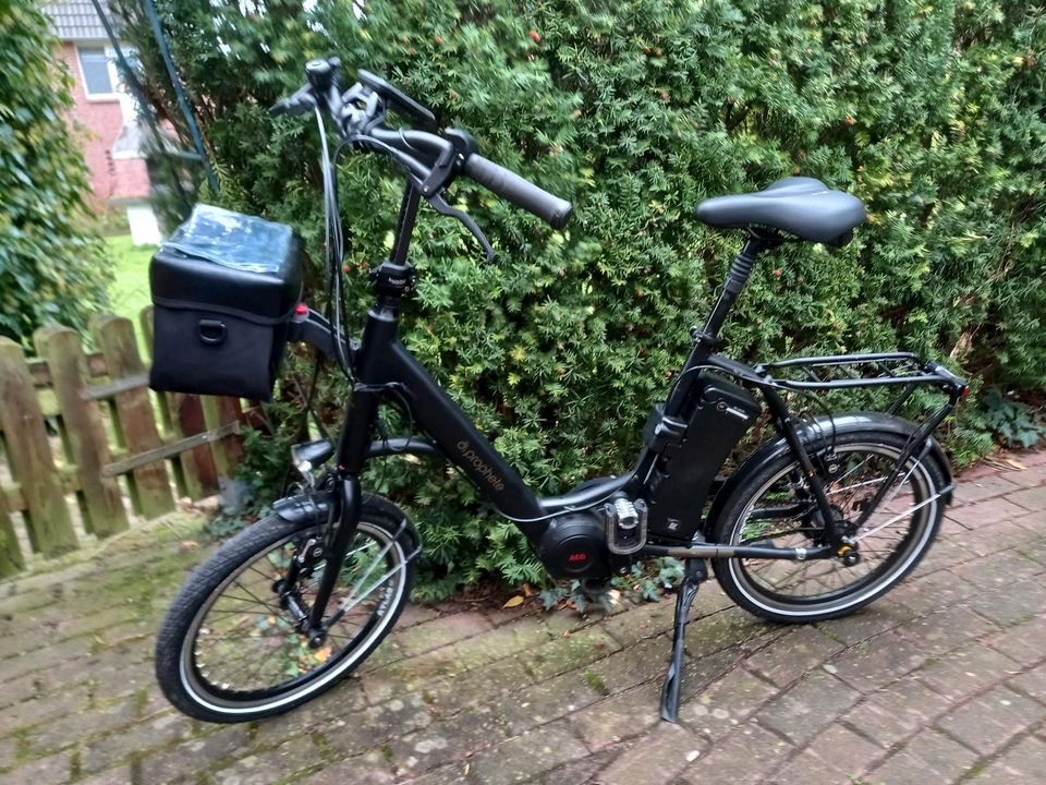 1 Prophete  Mini e-bikes zu verkaufen erst 271 km in Uelzen