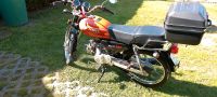 Moped Romet Ogar Brandenburg - Lebus Vorschau