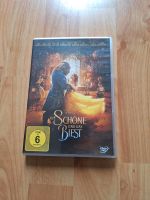 DVD + 1 Blue Ray Brandenburg - Wusterhausen Vorschau