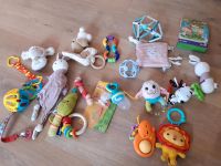 Babyspielzeug jedes Teil 1 € Thüringen - Ilmtal-Weinstraße Vorschau