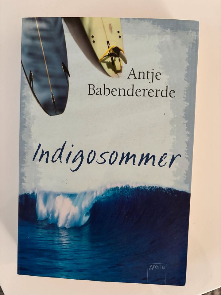 Buch Indigosommer in Oebisfelde-Weferlingen