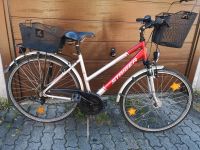 Damen Fahrrad Steiger Melbourne 28 zoll Bayern - Neumarkt i.d.OPf. Vorschau