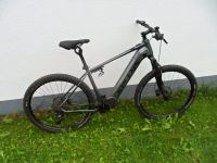 Kellys MTB E-Bike Tygon R50 Modell 2022 Rh46 Shimano Steps wieneu Baden-Württemberg - Oberkirch Vorschau