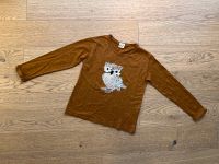 Zara Langarmshirt | Pullover | Eule | Größe 128 Niedersachsen - Barum Vorschau