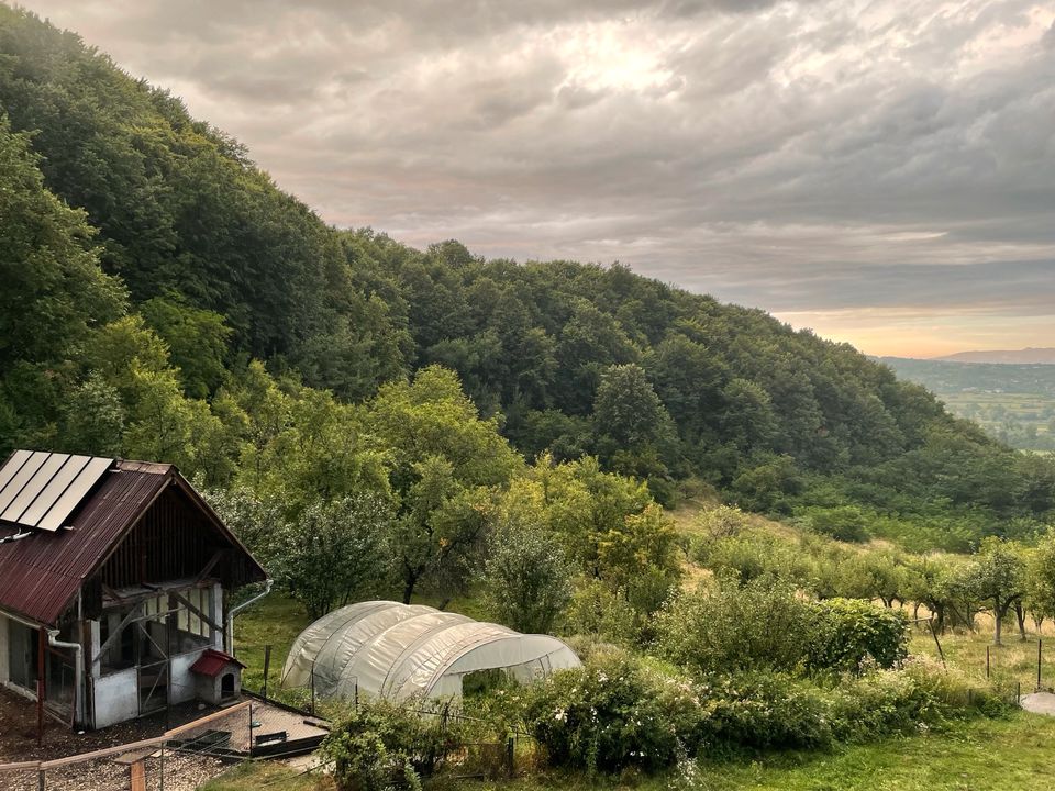 Abgelegenes Anwesen für Aussteiger und Selbstversorger Rumänien in Weil der Stadt