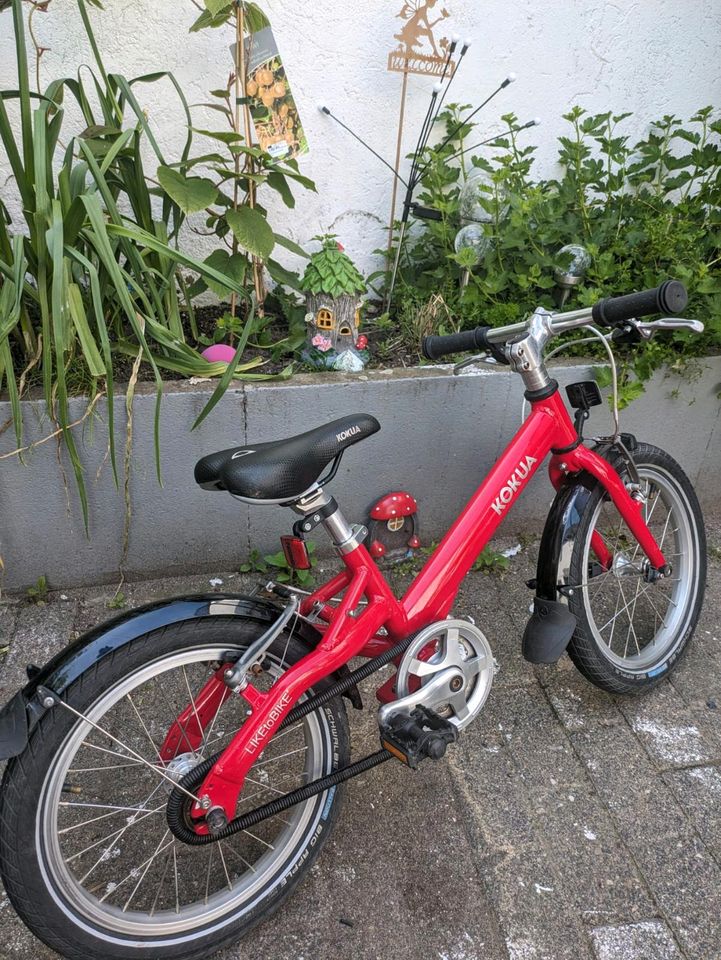 Kokua  Like to Bike 16 Zoll rot, neuw.  , 6.8 kg in Linz am Rhein