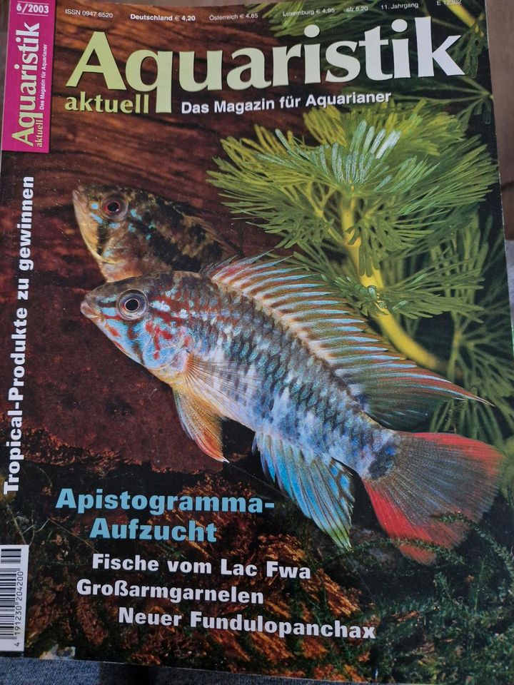 Sonderheft Harnischwelse & 2x Aquaristik aktuell in Darmstadt