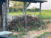Holz , Baumstämme und Äste zu verschenken Nordrhein-Westfalen - Waldfeucht Vorschau