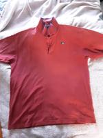 Poloshirt XXL Sachsen - Pegau Vorschau