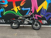 Bluroc Tracker 125ccm / Neufahrzeug / A1/B196 Bayern - Schonstett Vorschau