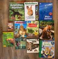 Kinderbücher Wissen Tiere Dinosaurier Schnitzen u.a.Ravensburger Niedersachsen - Munster Vorschau