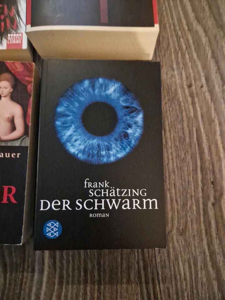 Verschiedene Bücher Thriller in München