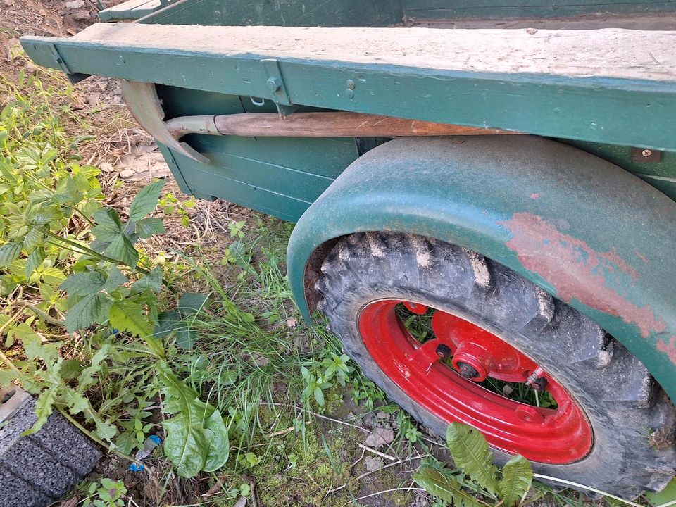 Einachs Anhänger in Moschheim