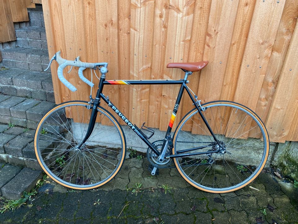 Peugeot Rennrad vintage in Urbach Westerw