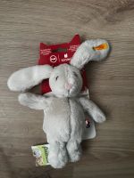 Steiff Tonie Hase NEU Bayern - Glattbach Unterfr. Vorschau