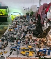 ❗Ich kaufe Lego Star Wars Sammlung Sets Konvolut und Minifiguren❗ Hessen - Büdingen Vorschau