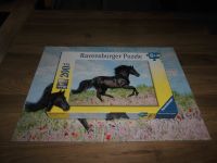 Ravensburger Puzzle Schwarzer Hengst 200 XXL Teile von 2015 Nordrhein-Westfalen - Leverkusen Vorschau