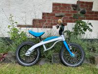 BMW Kidsbike 14“ Laufrad mit Bremse Hessen - Greifenstein Vorschau