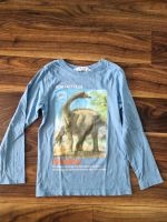 Langarmshirt Pulli Dino Gr. 122 Baden-Württemberg - Horgenzell Vorschau