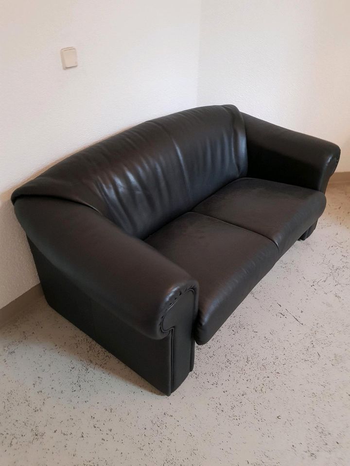 Brühl & Sippold Design Sofa Leder Zweisitzer Couch Ampiezza in Warstein