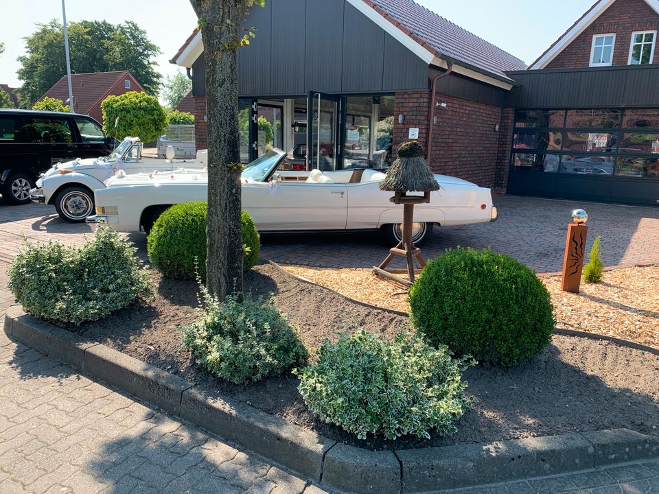 Cadillac Cabrio Hochzeitsauto Hochzeitswagen Oldtimer mieten in Großefehn