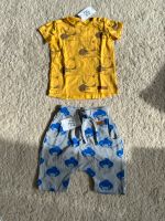 Zezuzulla Tshirt Shorts kurze Hose Igel Fuchs neu 104 Münster (Westfalen) - Centrum Vorschau