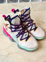 Verschiedene Farben Nike LeBron 19 Gr 43 Basketball Lakers Hessen - Wehrheim Vorschau