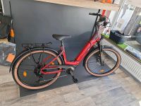 Kreidler Eco 10 Sport, Einzelstück -35%, Neu mit Garantie Nordrhein-Westfalen - Beckum Vorschau