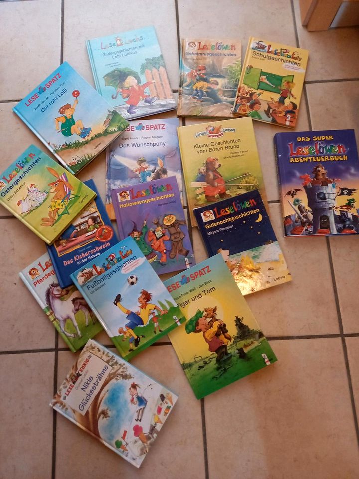 Diverse Kinderbücher Leselöwen LeseLuchs LesePiraten in Oldenburg