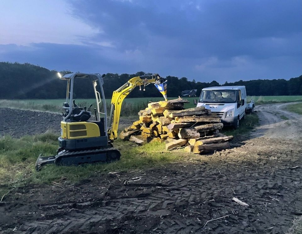 Lohnspalten von Kaminholz, Weidepfählen, Holzspalter / Brennholz in Ahaus