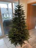 Weihnachtsbaum Balsam Hill Nobilis Tanne Nordrhein-Westfalen - Arnsberg Vorschau