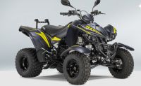 QUAD MAXXER 300 T Offroad LOF Nordrhein-Westfalen - Recklinghausen Vorschau