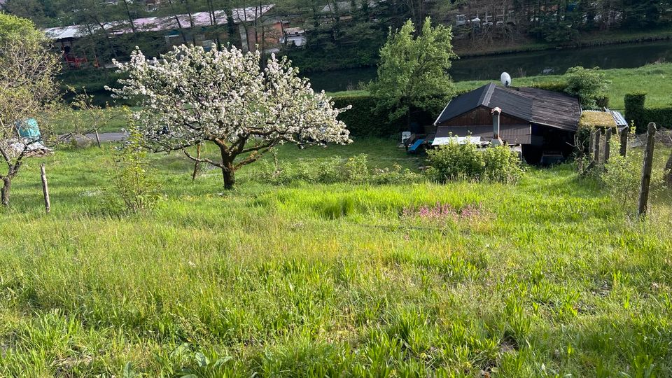 Gartengrundstück in Unterreichenbach in Bad Liebenzell