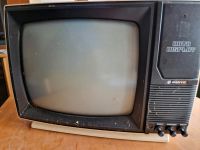 Sanyo  DM2112 tragbarer Mini- Fernseher Thüringen - Großbreitenbach Vorschau