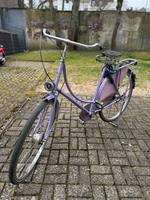 Gazelle Damenrad Nordrhein-Westfalen - Krefeld Vorschau
