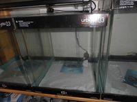 Urbyss Q 4 Nano Aquarium 5 mm geb. Glas inkl. Deckglas + Unterlag Rheinland-Pfalz - Otterberg Vorschau